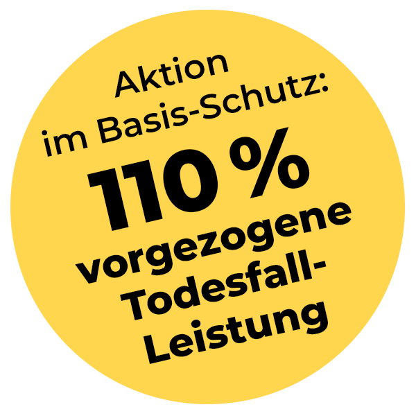 Aktion im Basis-Schutz